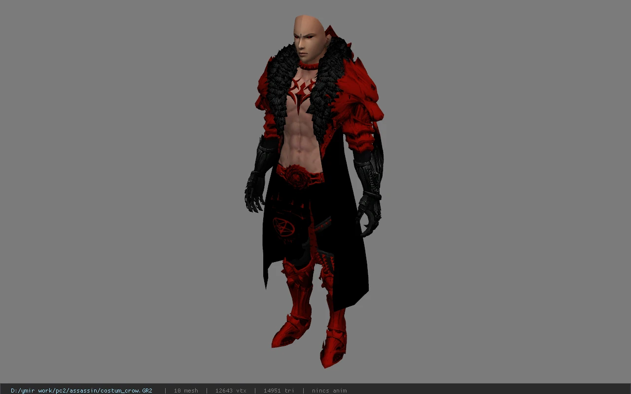 costum_crow