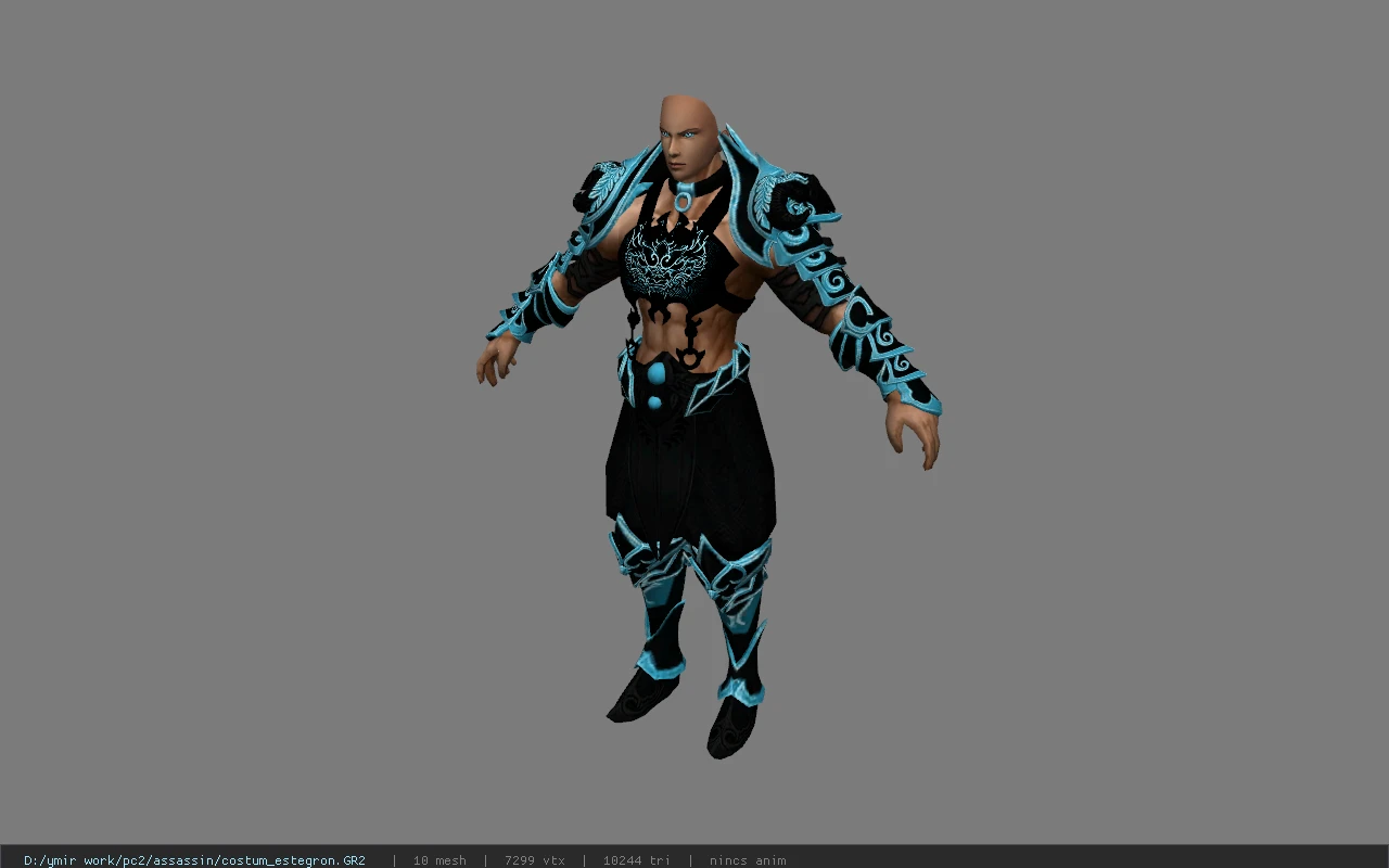 costum_estegron