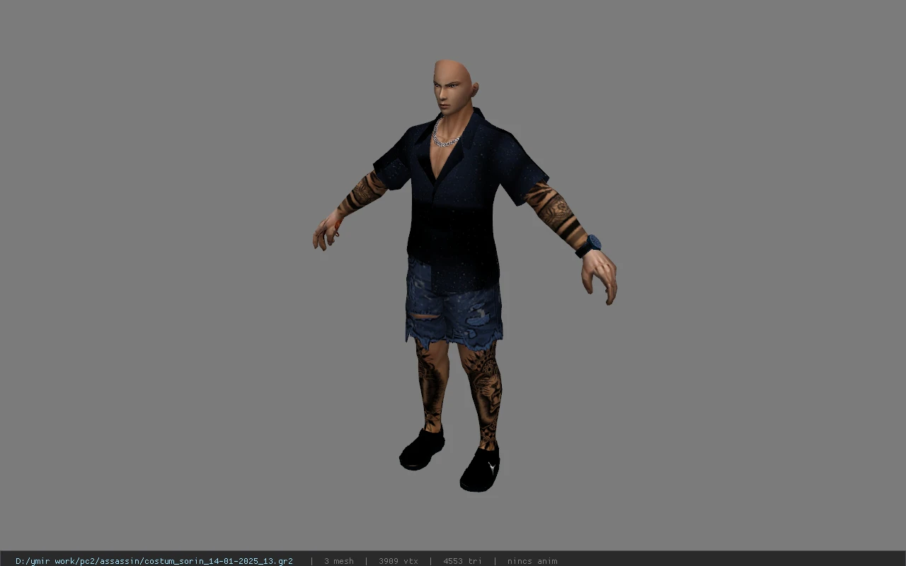 costum_sorin_14-01-2025_13