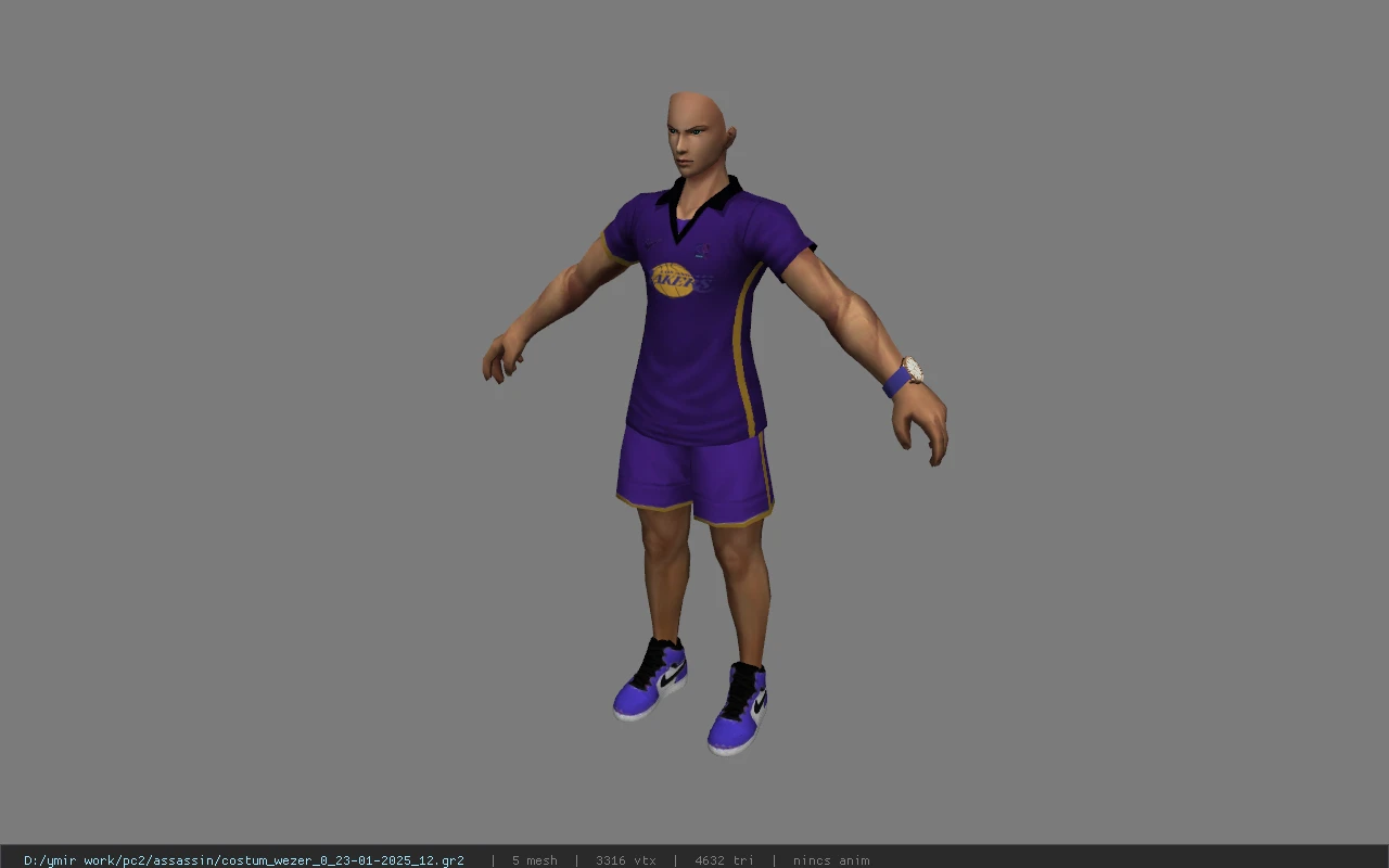costum_wezer_0_23-01-2025_12