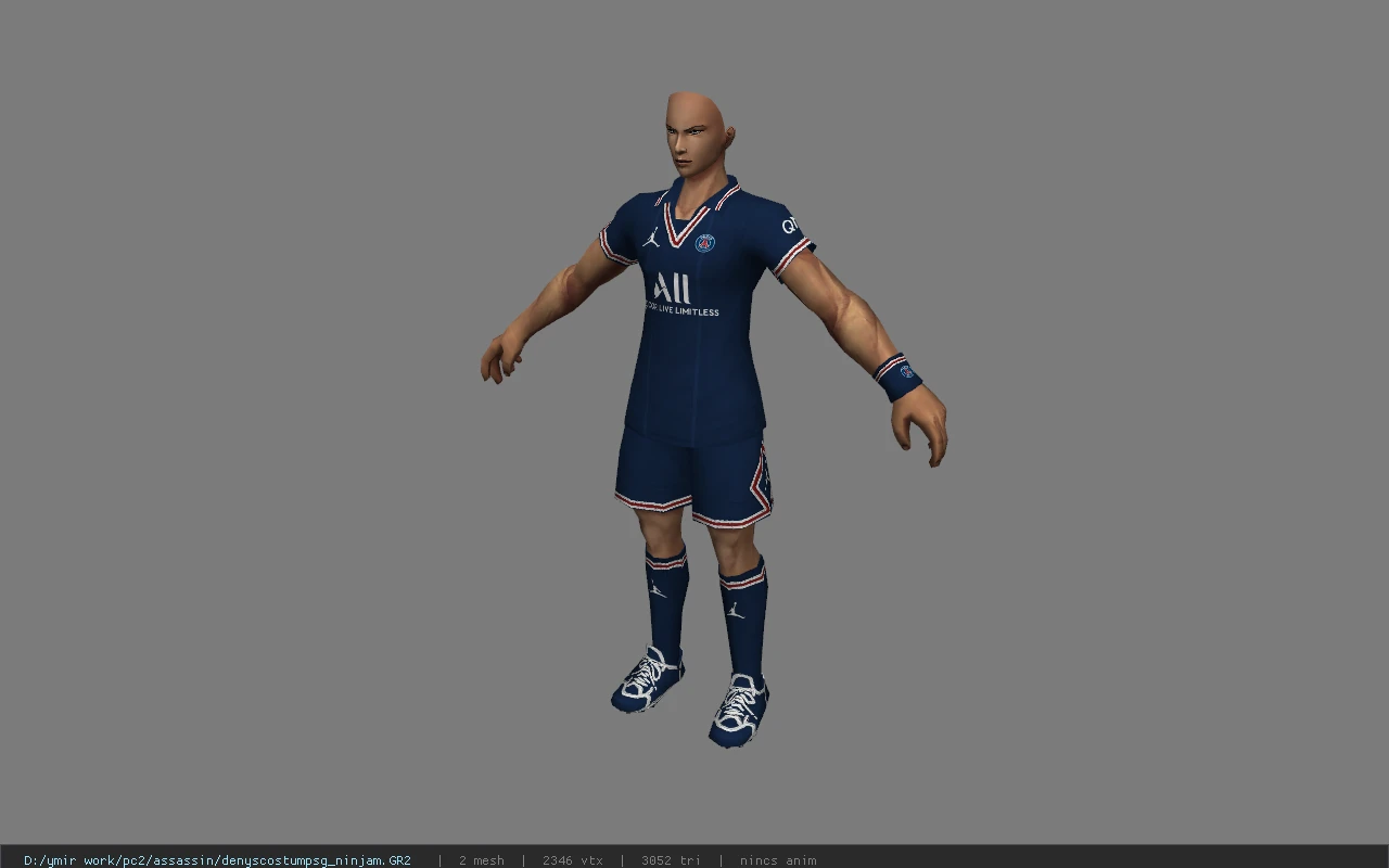 denyscostumpsg_ninjam
