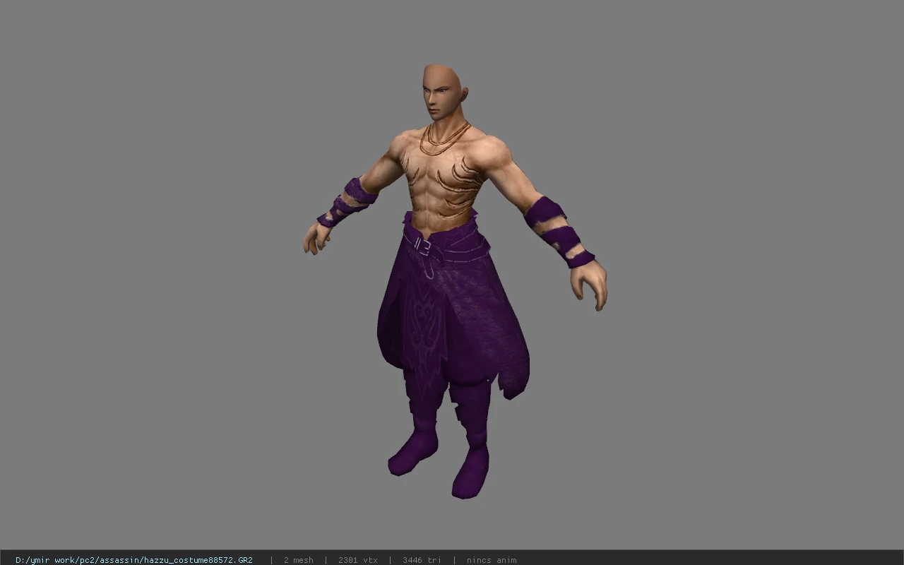 hazzu_costume88572