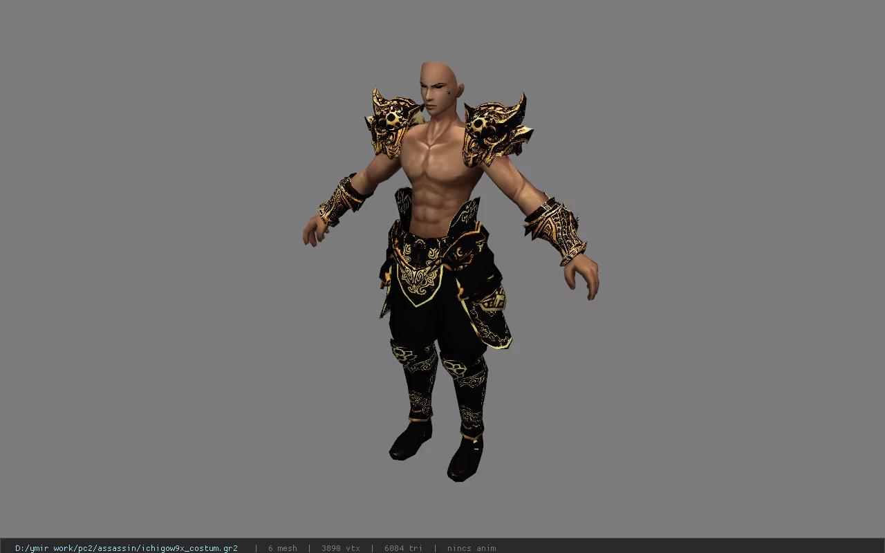 ichigow9x_costum