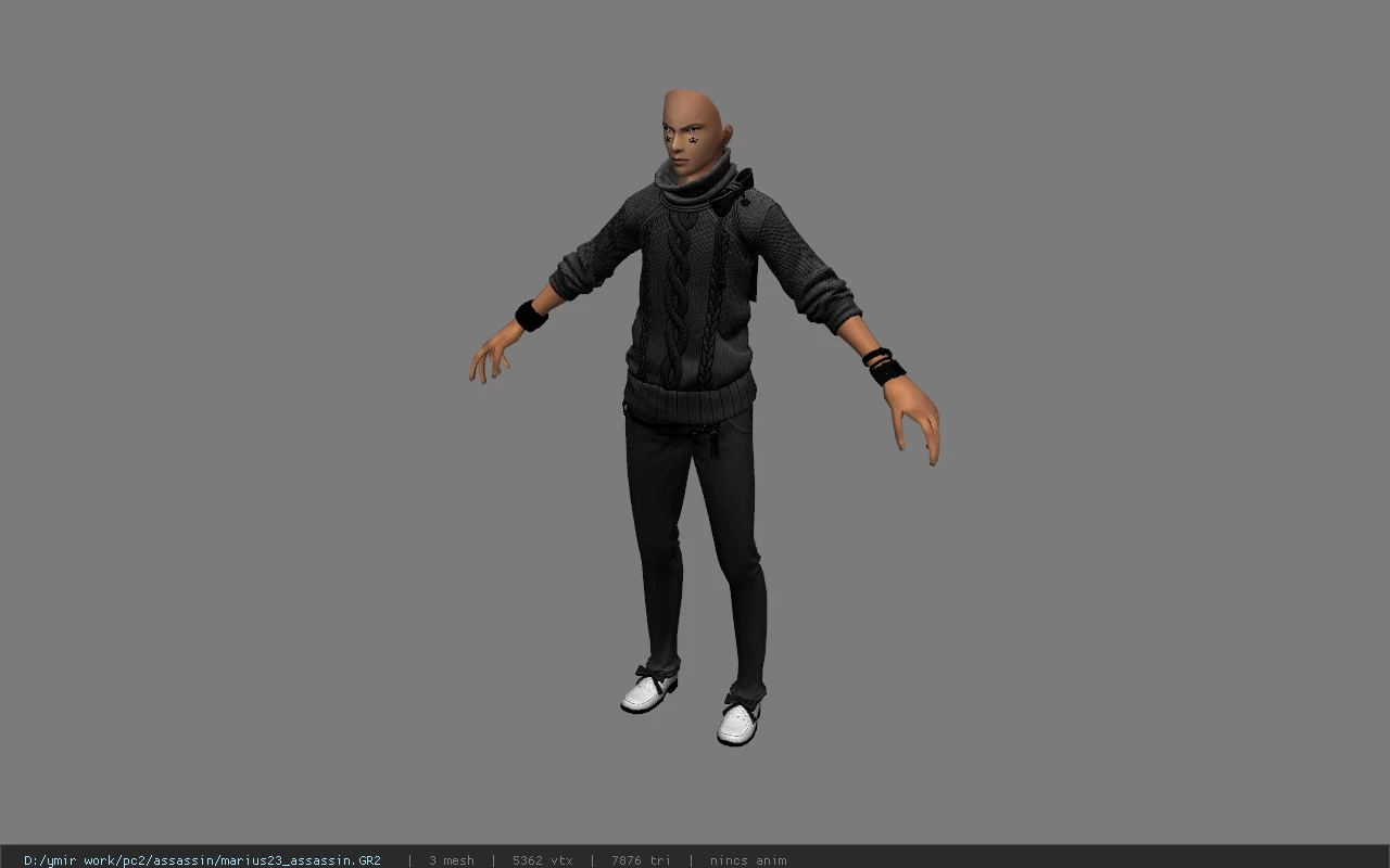 marius23_assassin