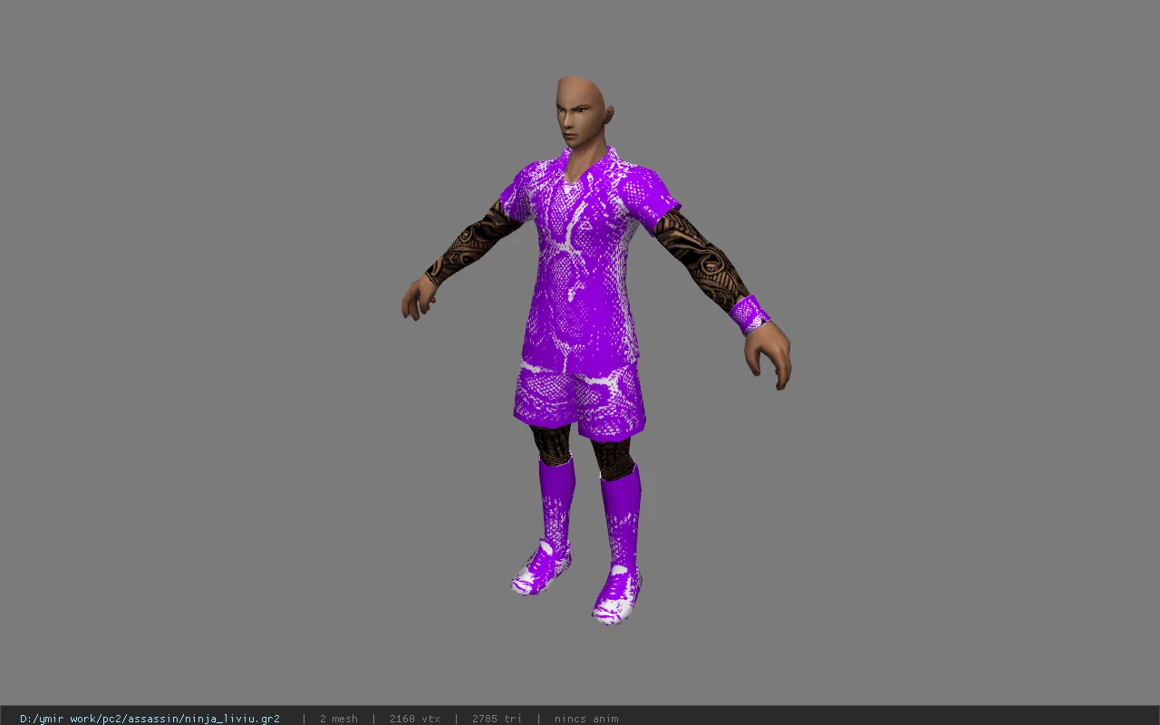 ninja_liviu