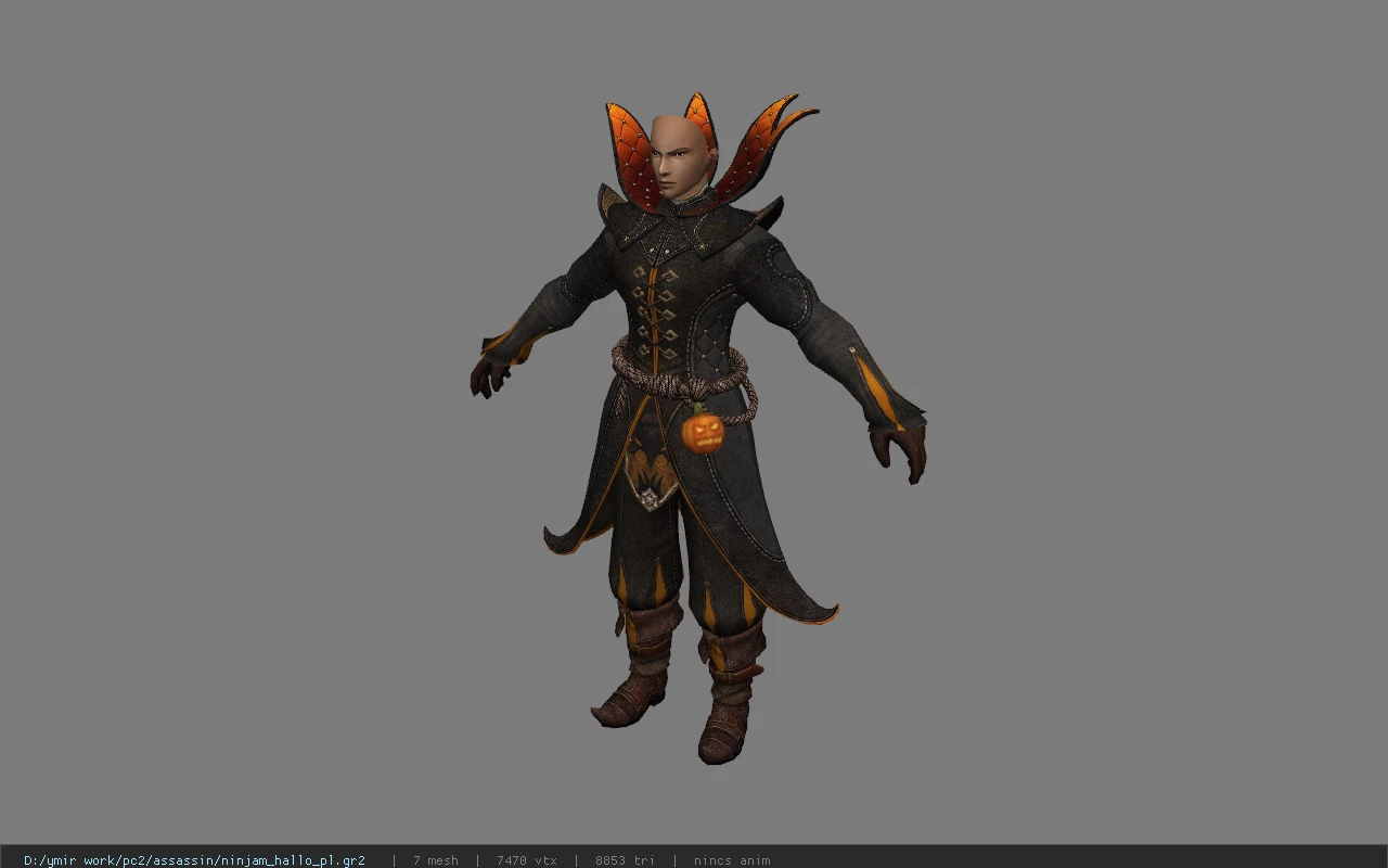 ninjam_hallo_pl