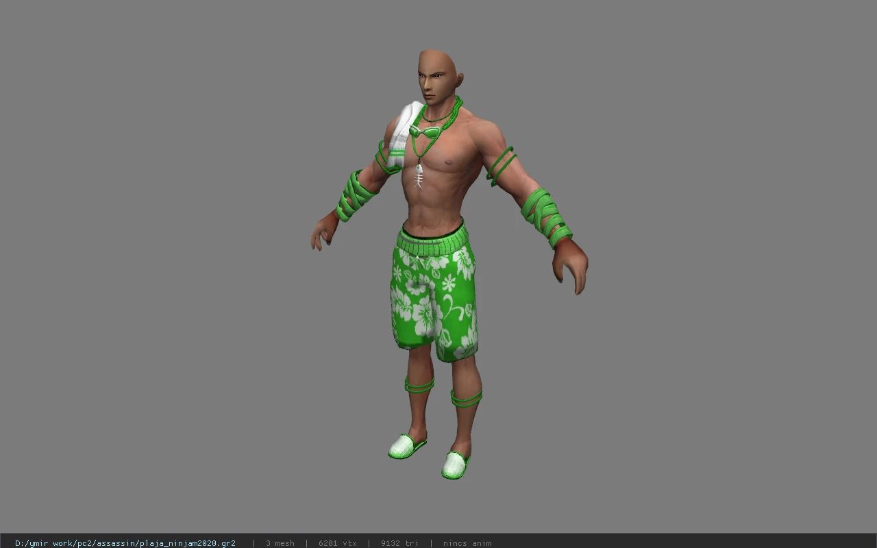 plaja_ninjam2020