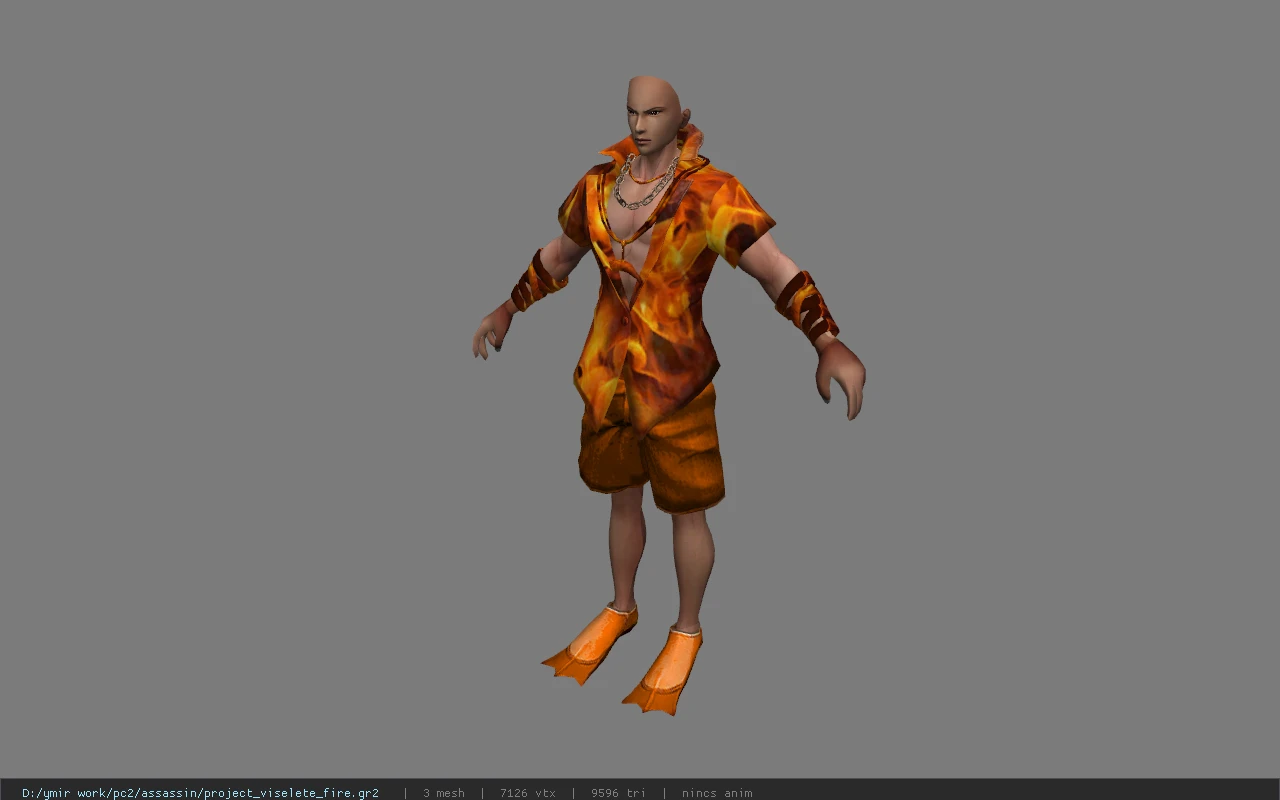 project_viselete_fire