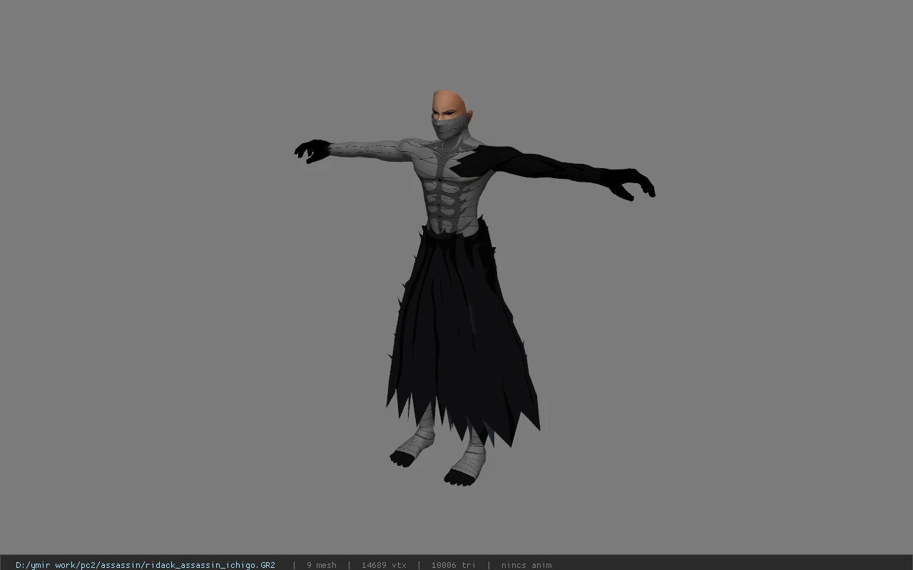 ridack_assassin_ichigo