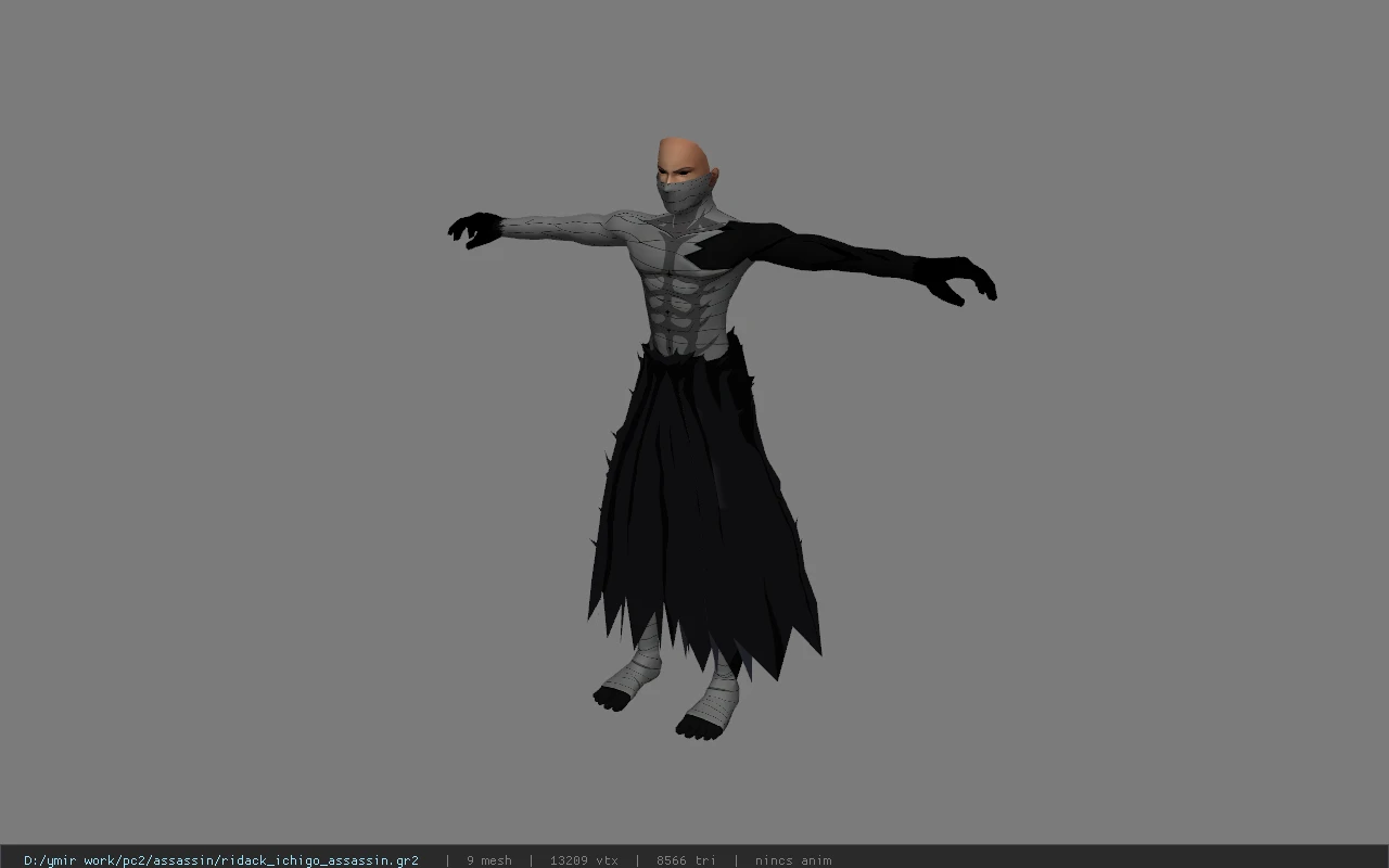 ridack_ichigo_assassin