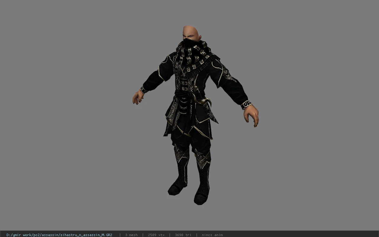 sihastru_n_assassin_M