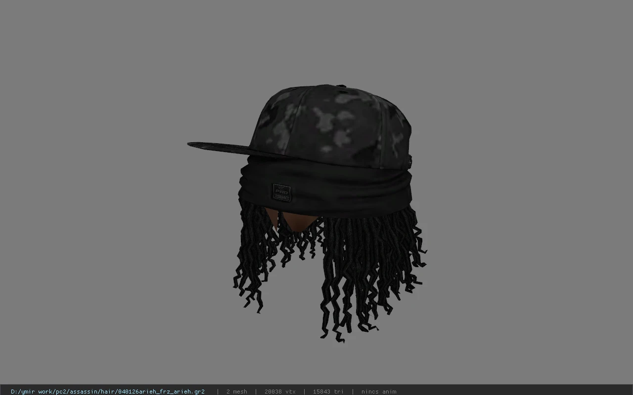 040126arieh_frz_arieh