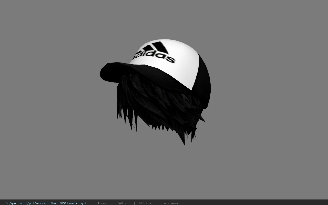 0510swegif