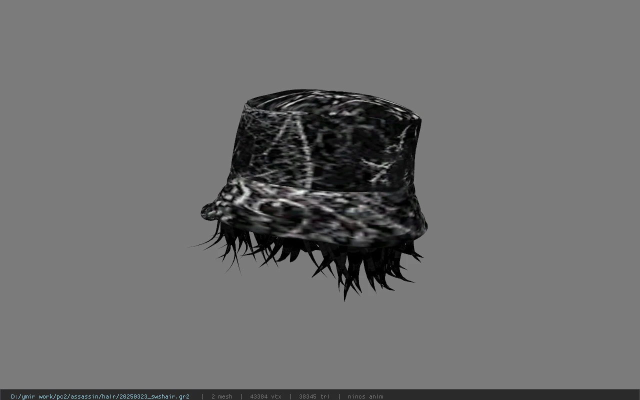 20250323_swshair