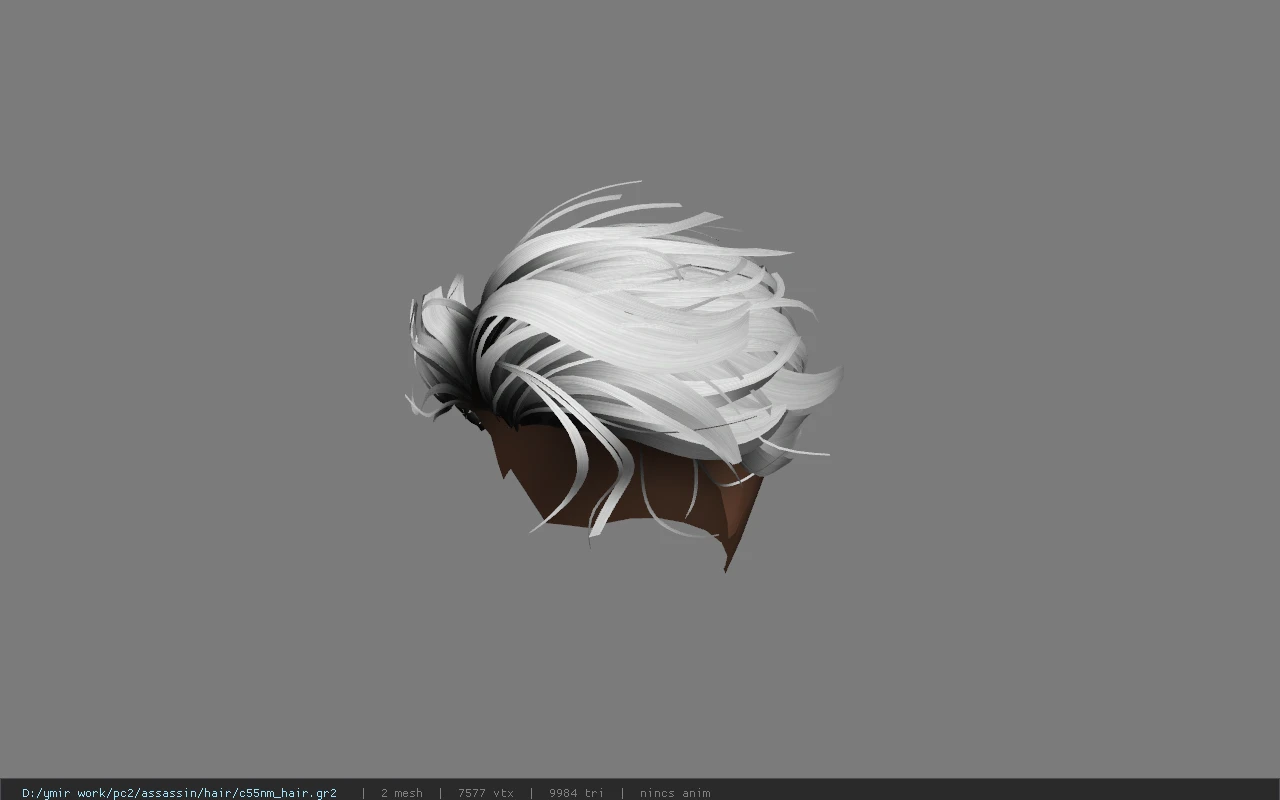 c55nm_hair