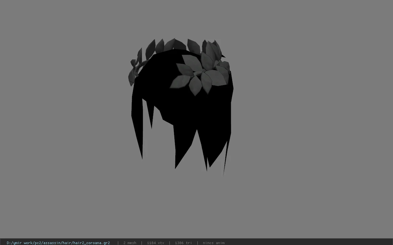 hair2_coroana