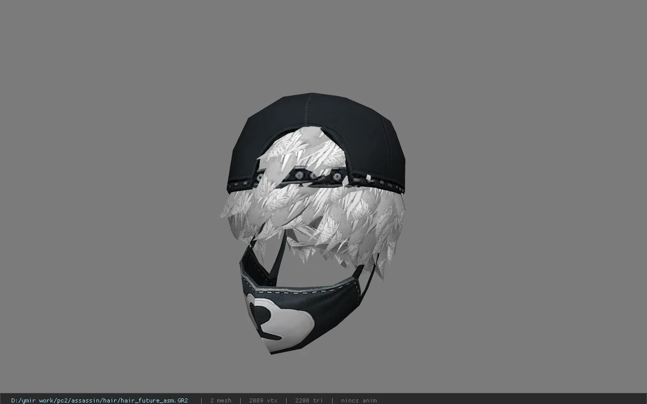 hair_future_asm