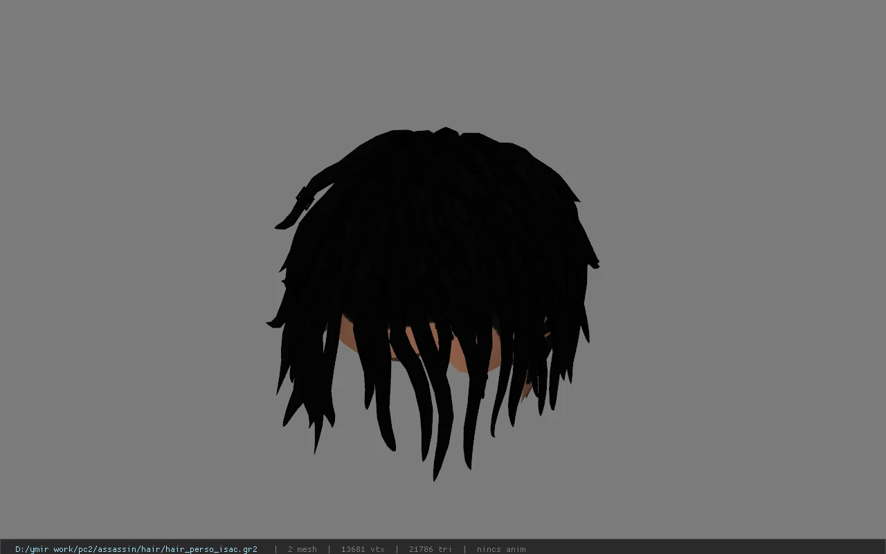 hair_perso_isac