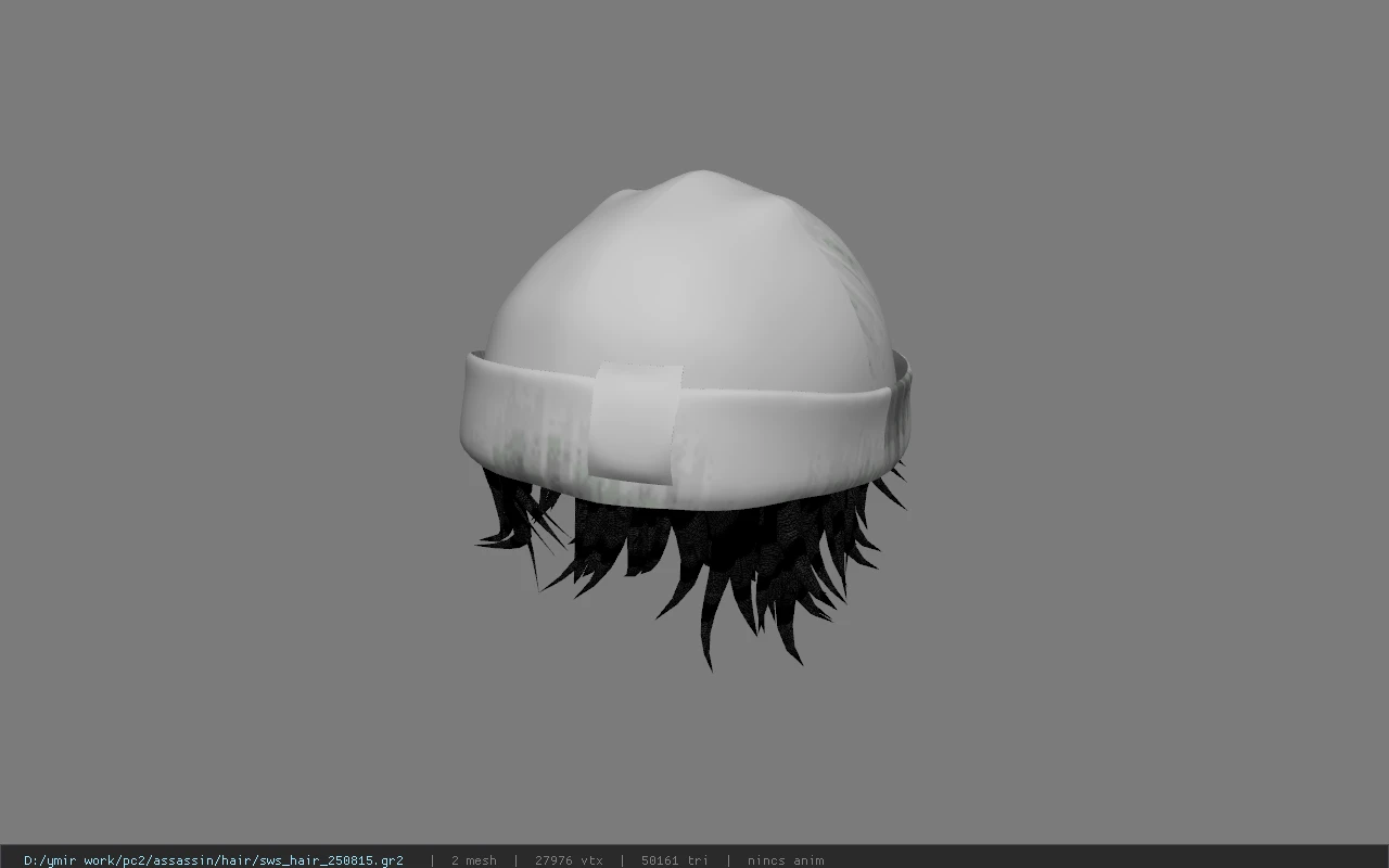 sws_hair_250815