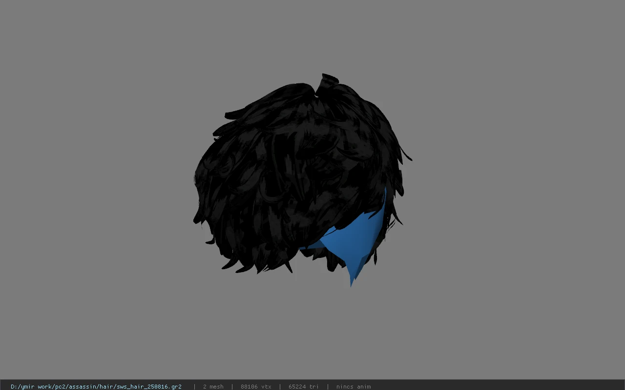 sws_hair_250816