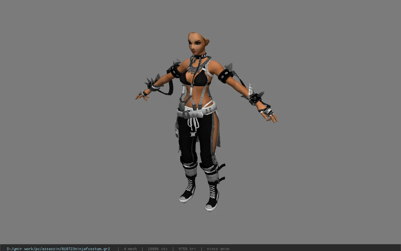 010723ninjafcostum