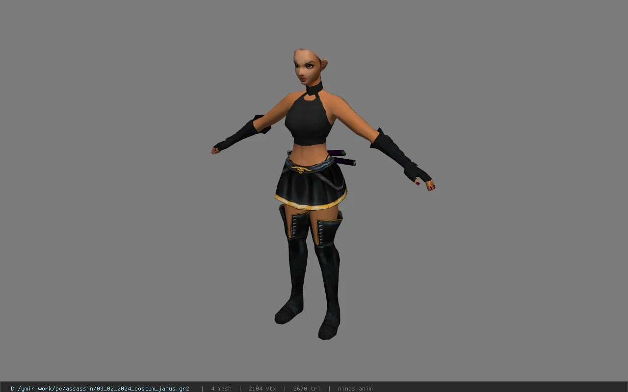 03_02_2024_costum_janus