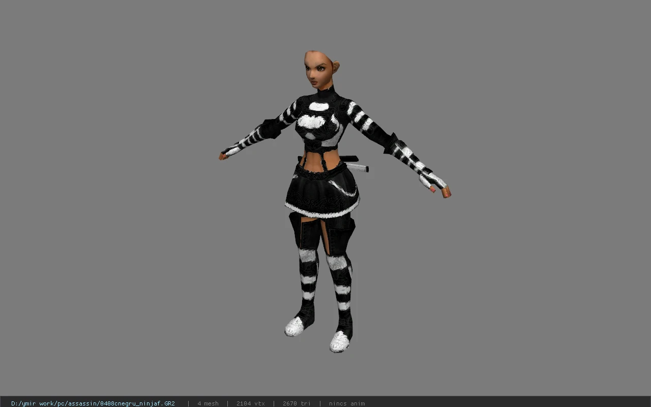 0408cnegru_ninjaf