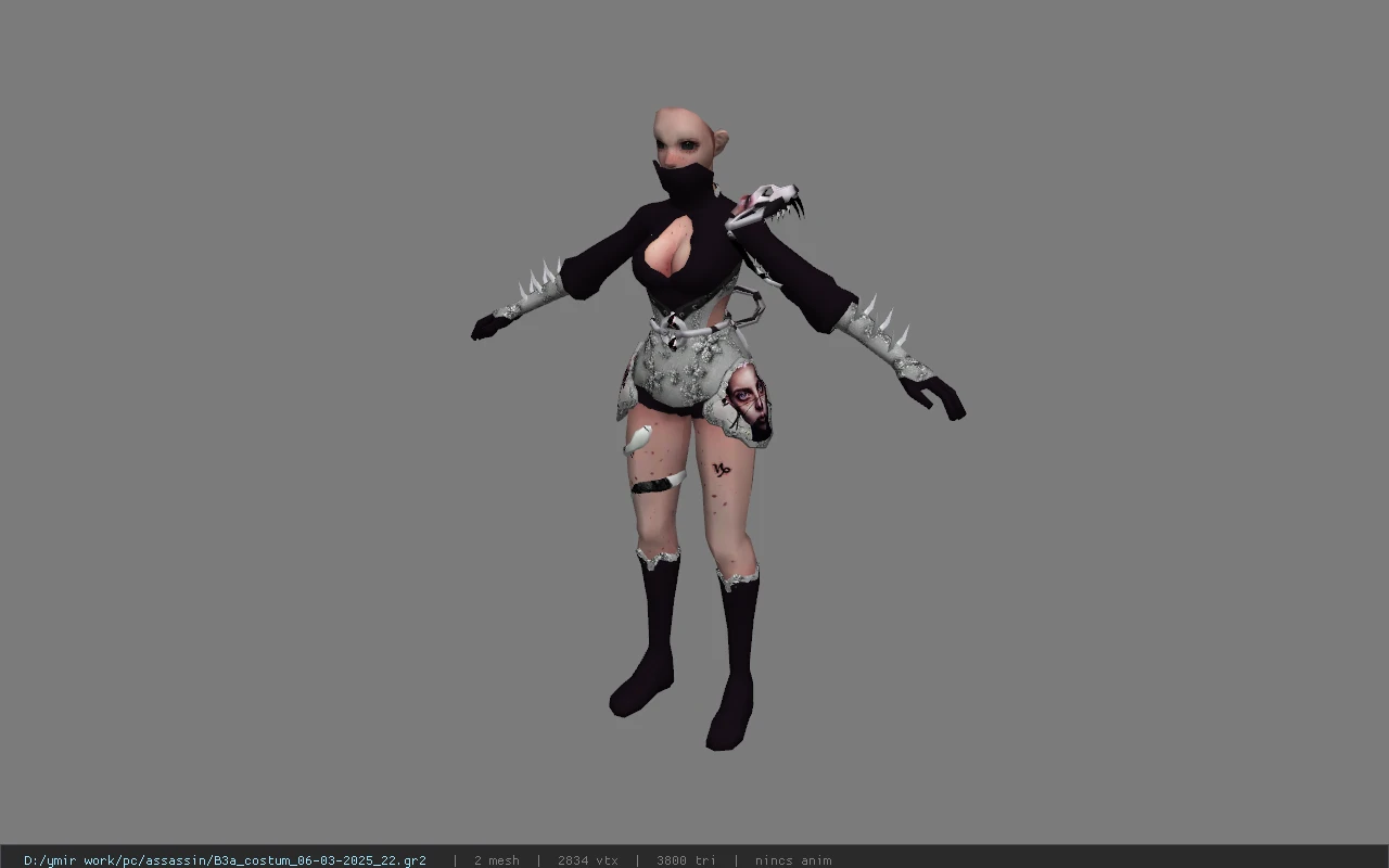 B3a_costum_06-03-2025_22