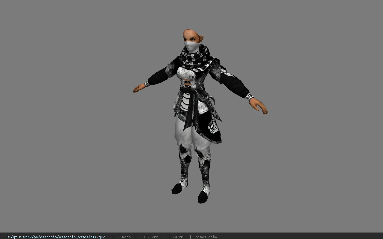 assassin_assasin11