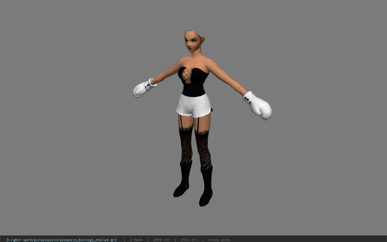 assassin_boxing1_chola4