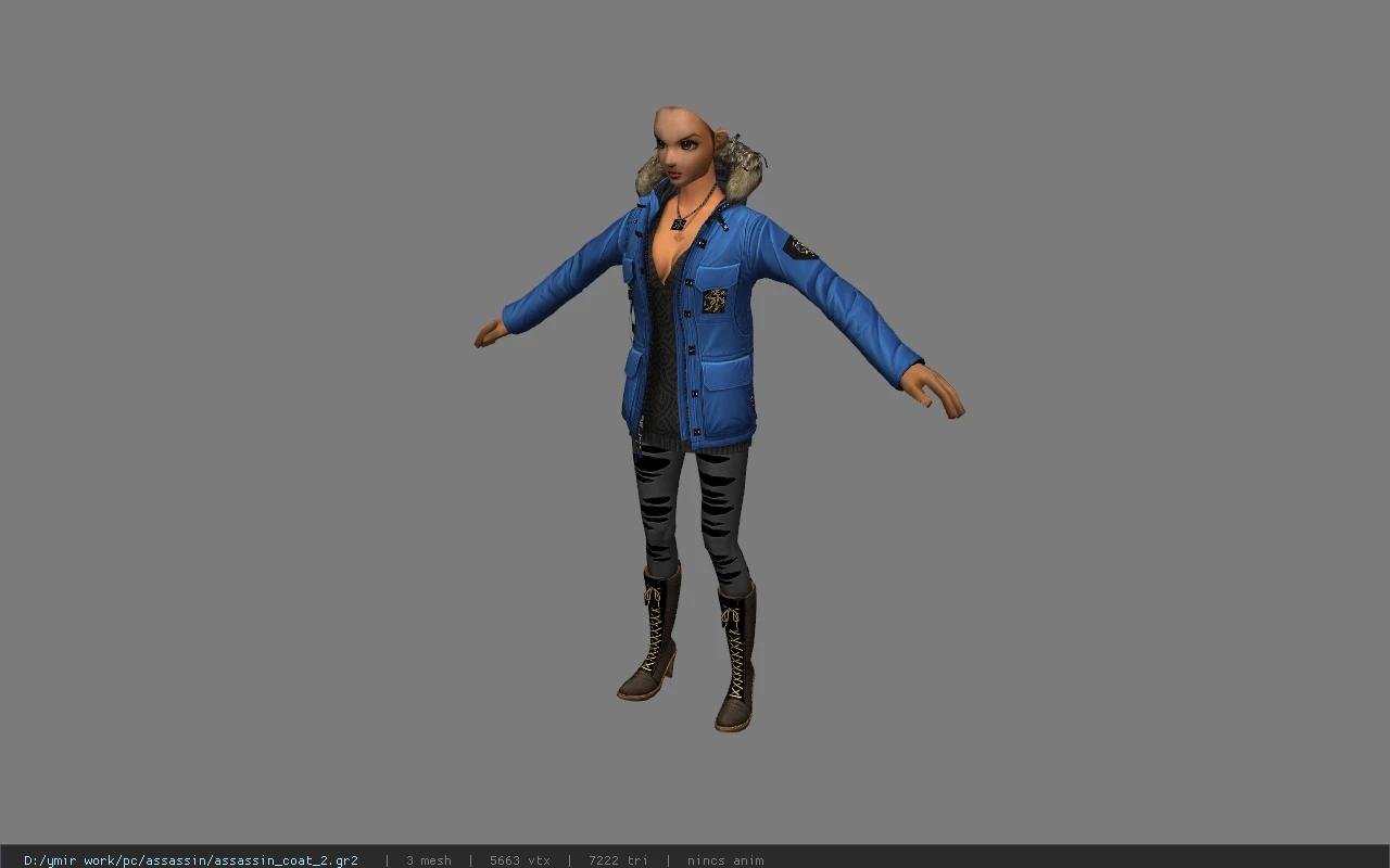 assassin_coat_2