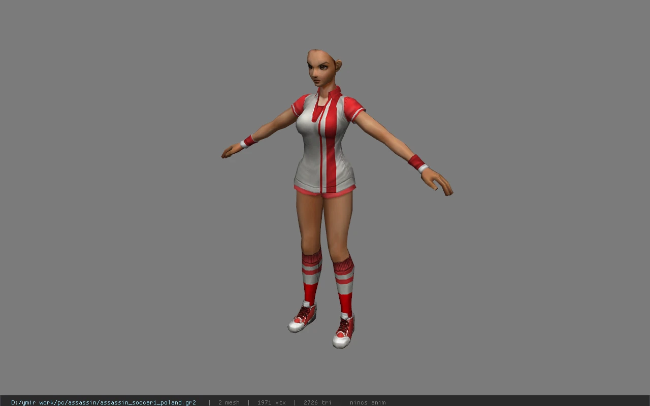 assassin_soccer1_poland