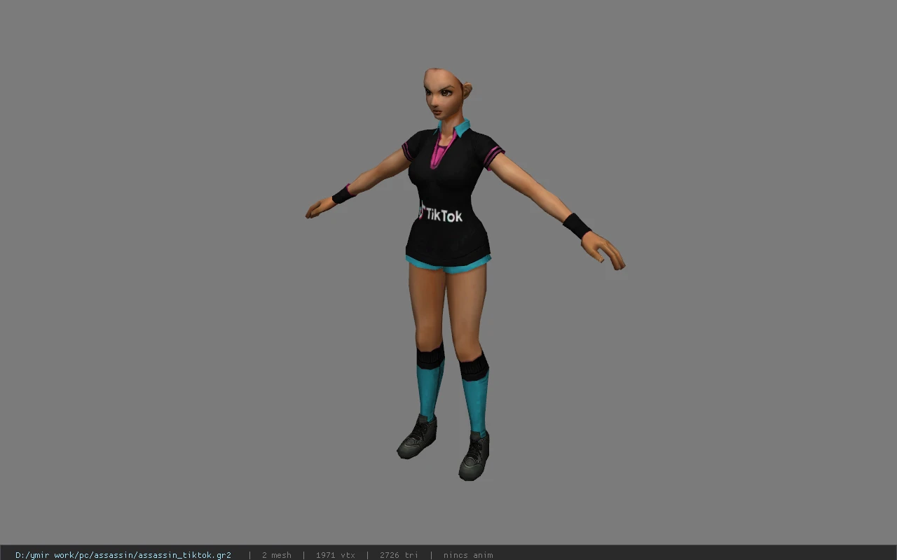 assassin_tiktok