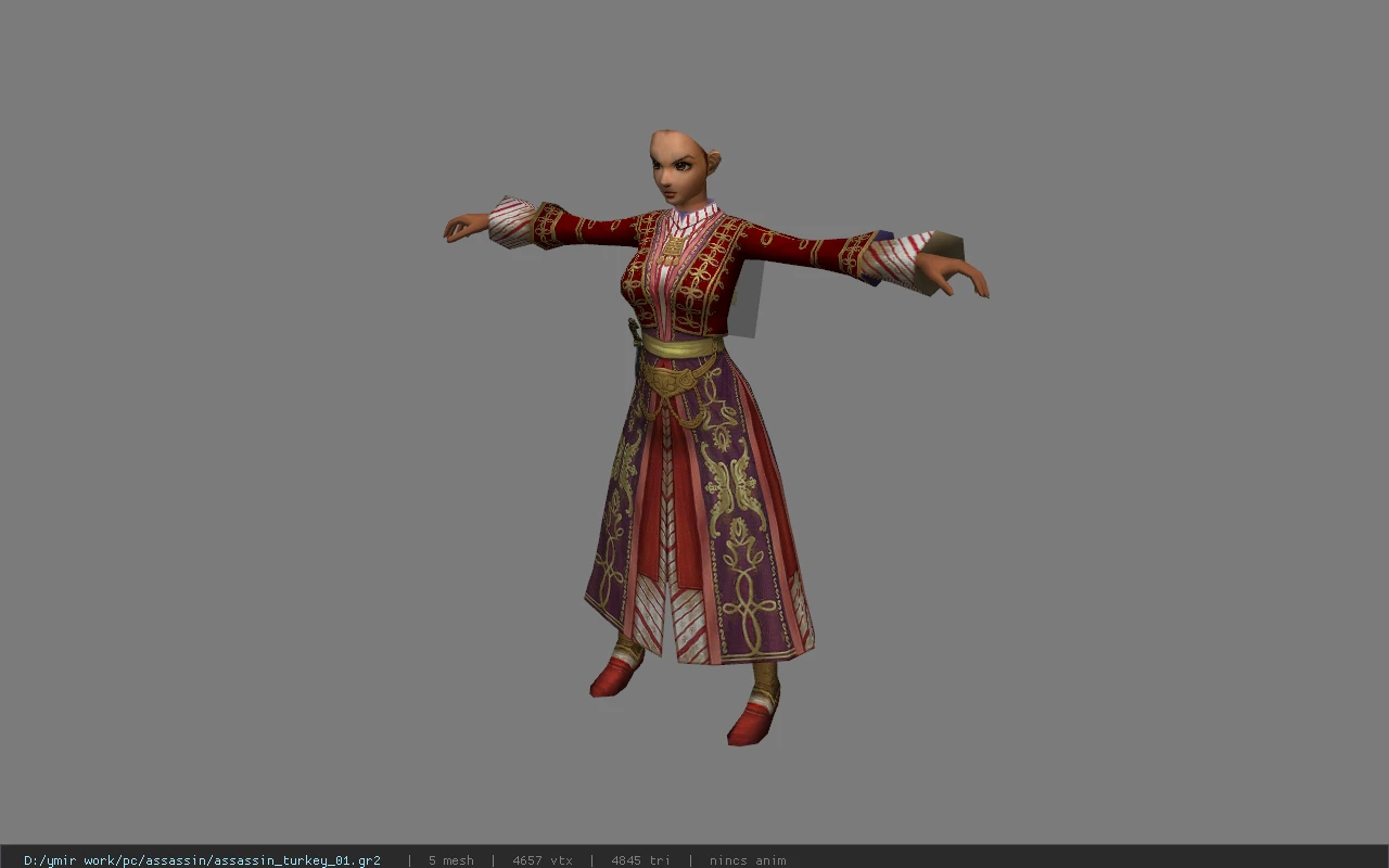 assassin_turkey_01
