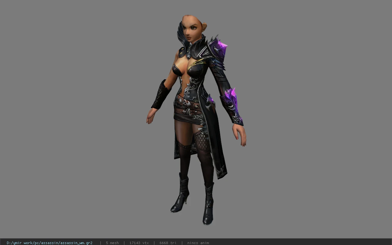 assassin_wm