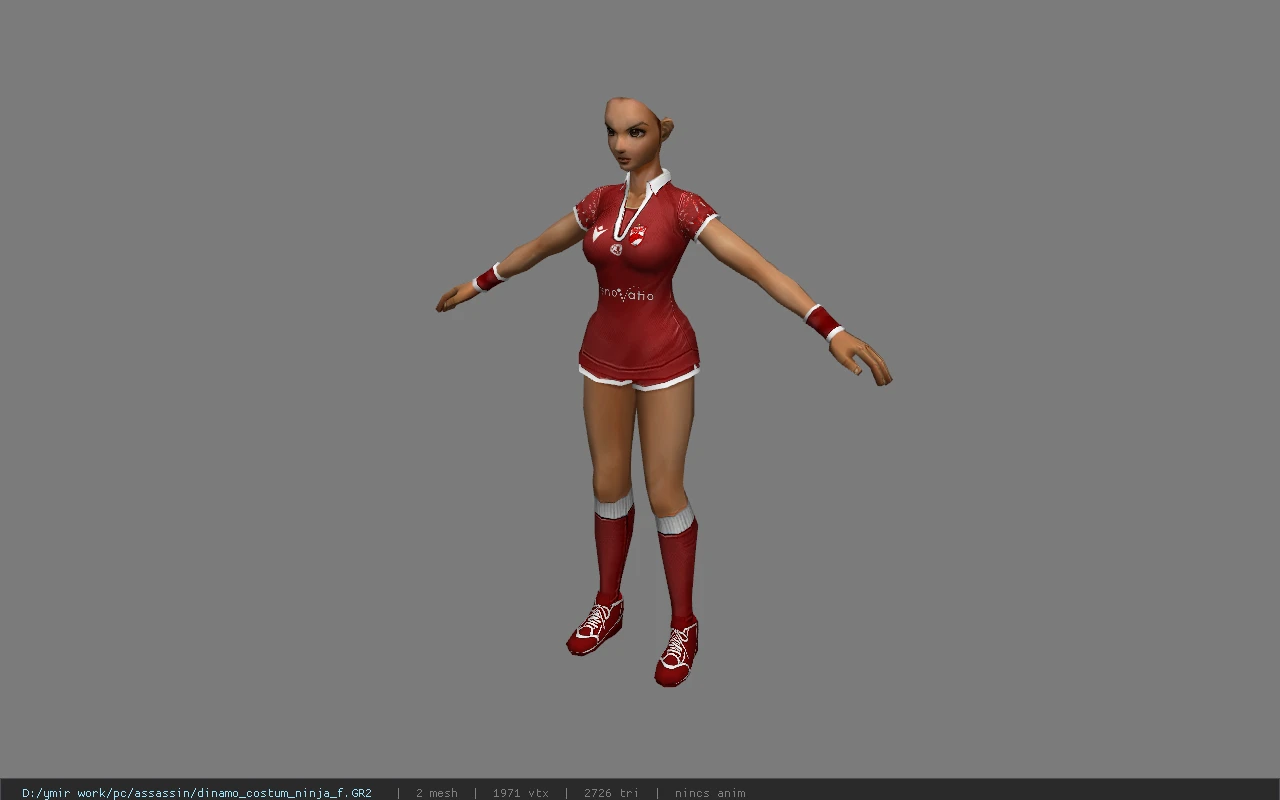 dinamo_costum_ninja_f