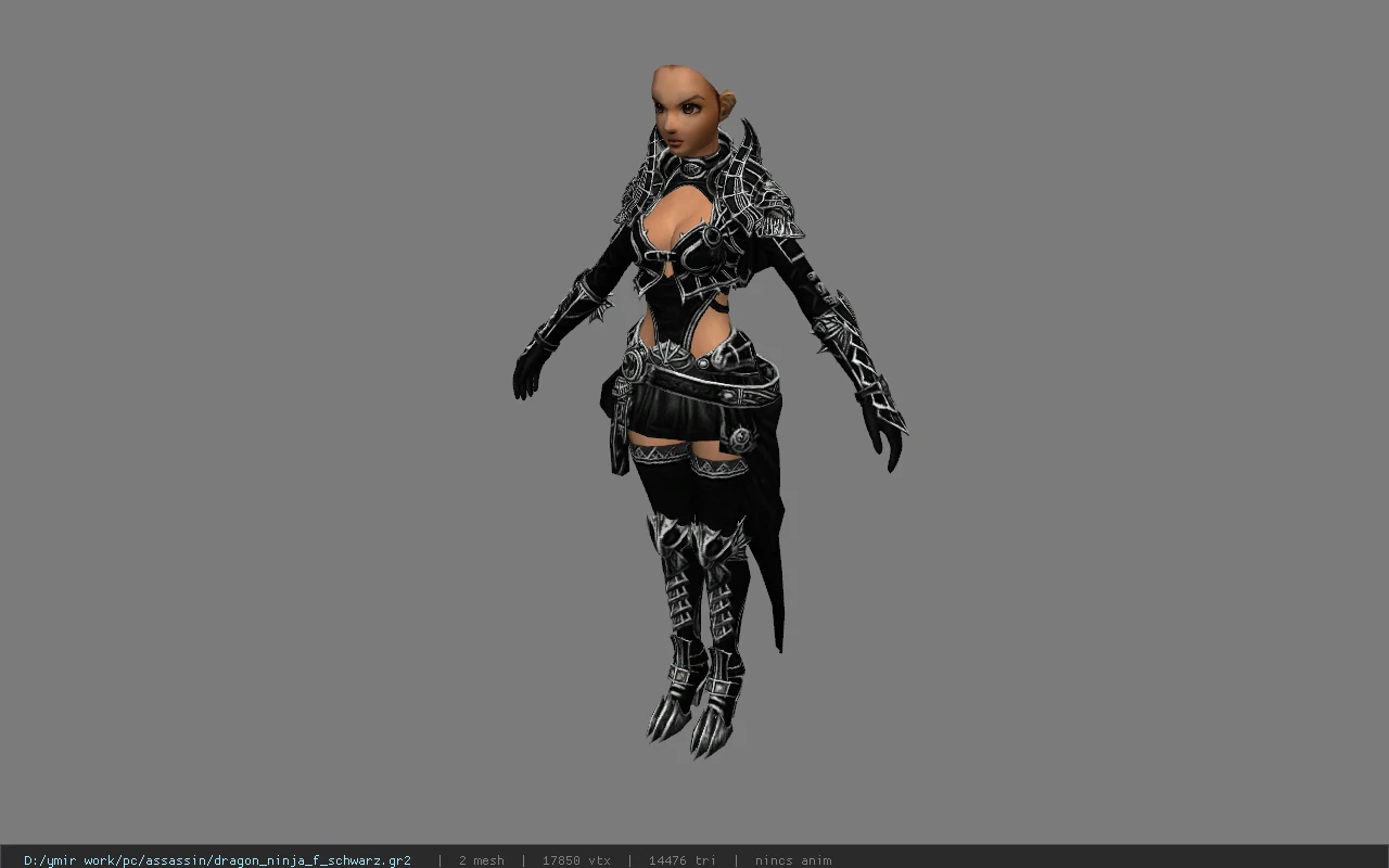 dragon_ninja_f_schwarz