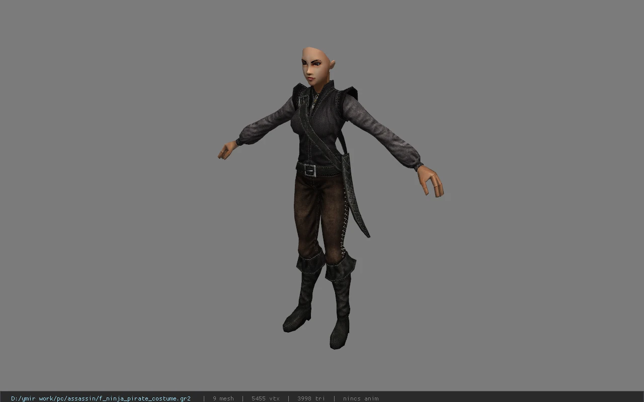 f_ninja_pirate_costume