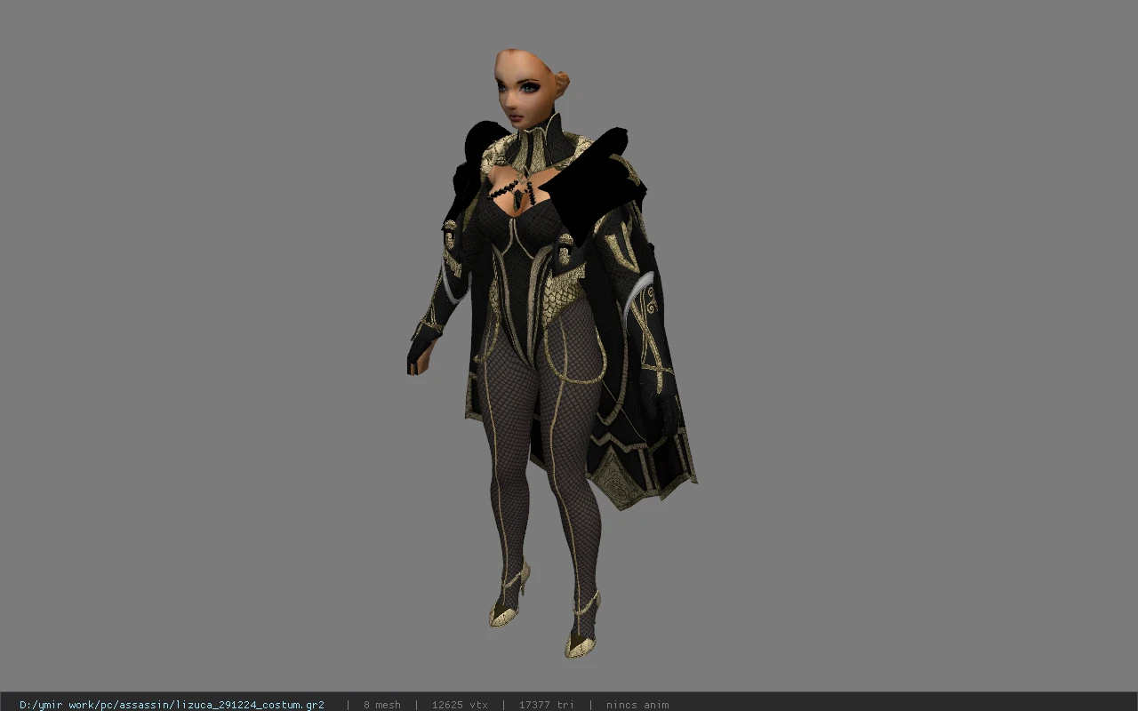 lizuca_291224_costum