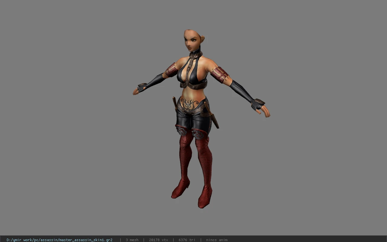 master_assassin_skin1