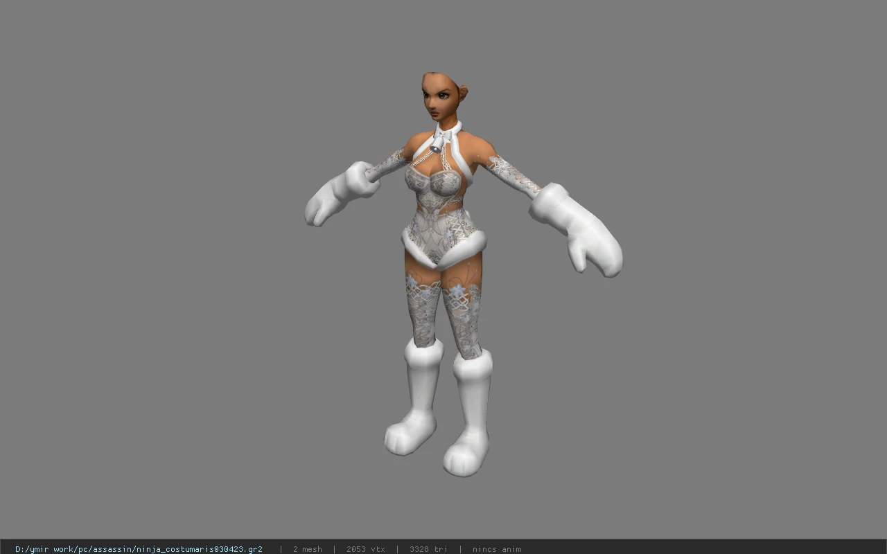 ninja_costumaris030423