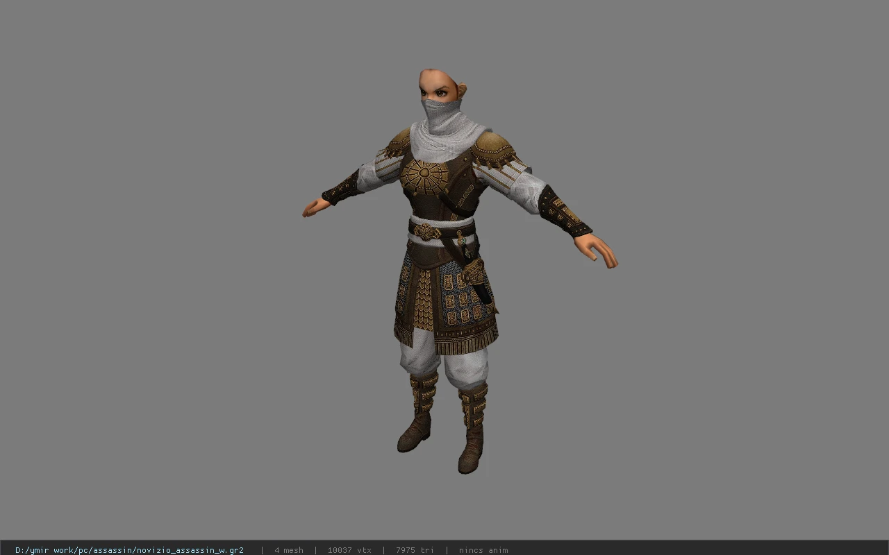 novizio_assassin_w