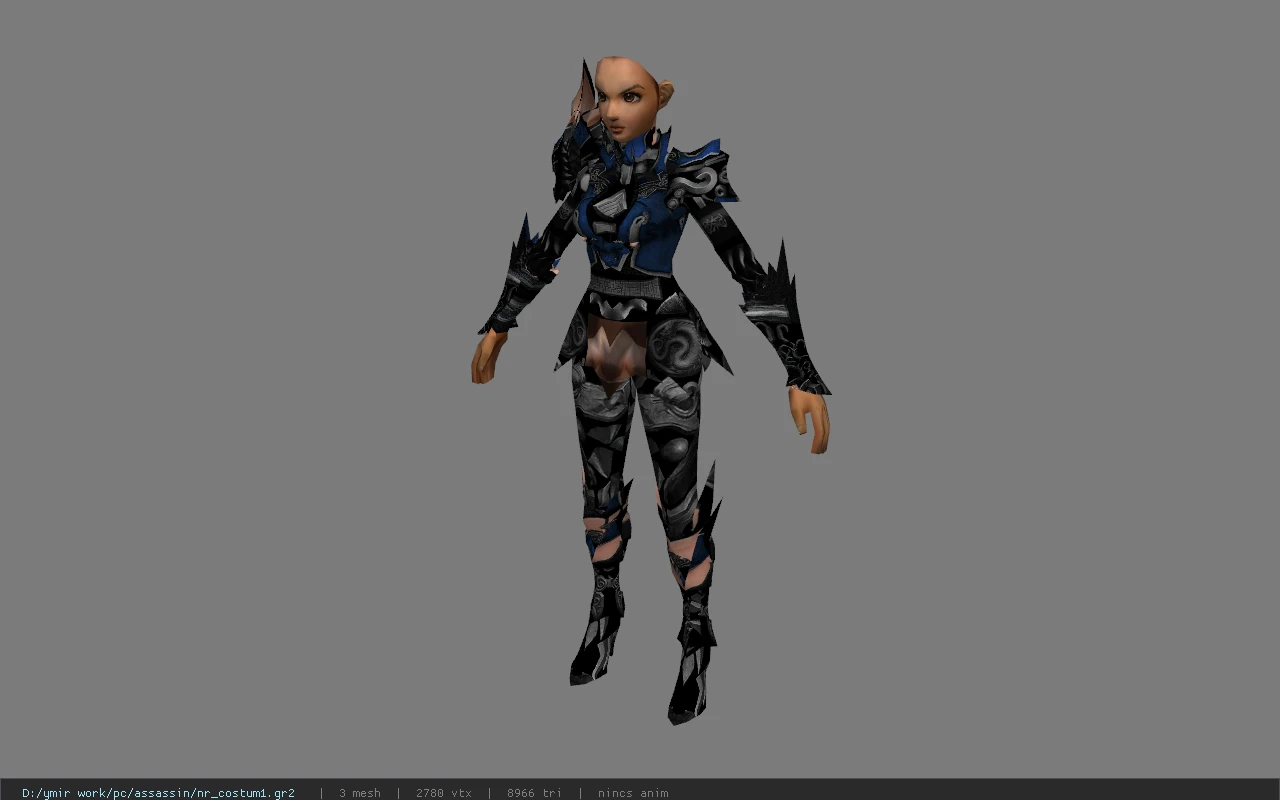 nr_costum1