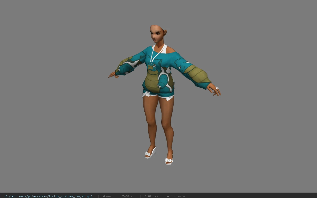 turtok_costume_ninjaf