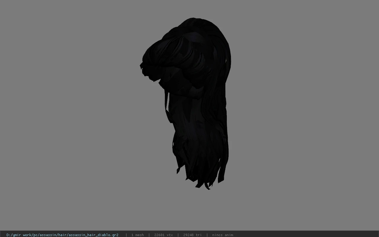 assassin_hair_diablo