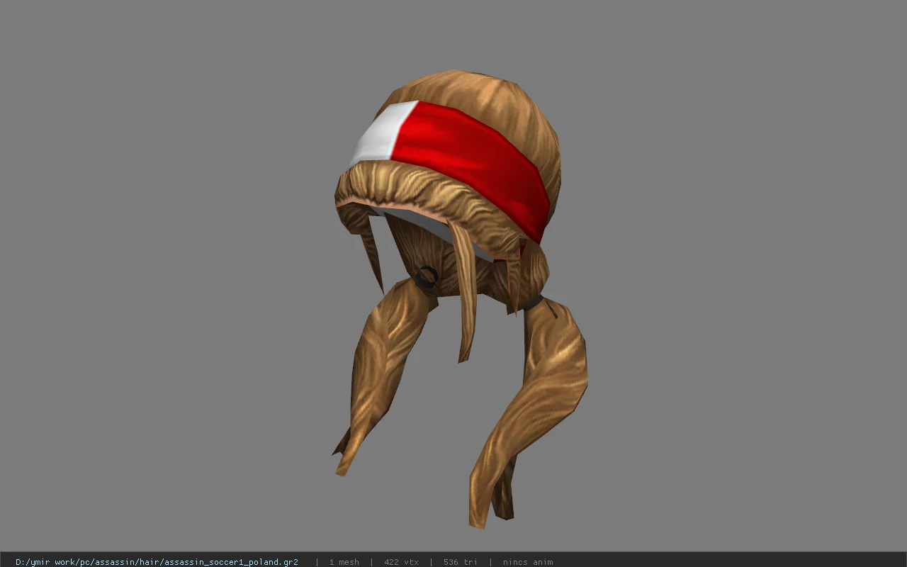 assassin_soccer1_poland