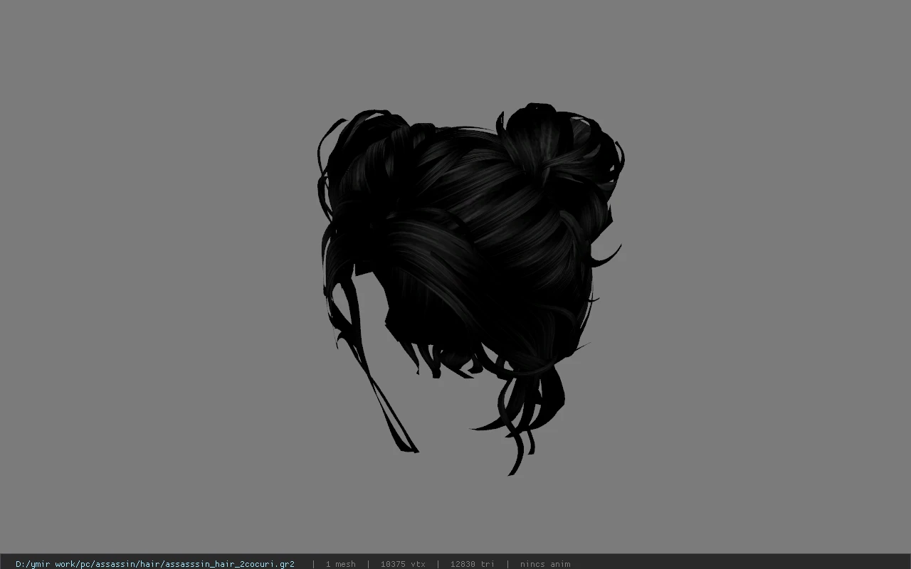assasssin_hair_2cocuri