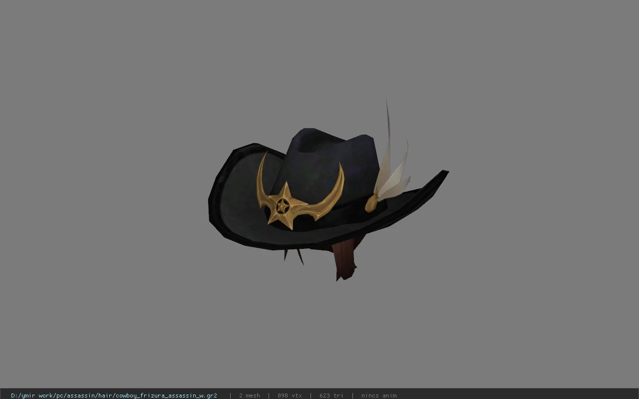 cowboy_frizura_assassin_w