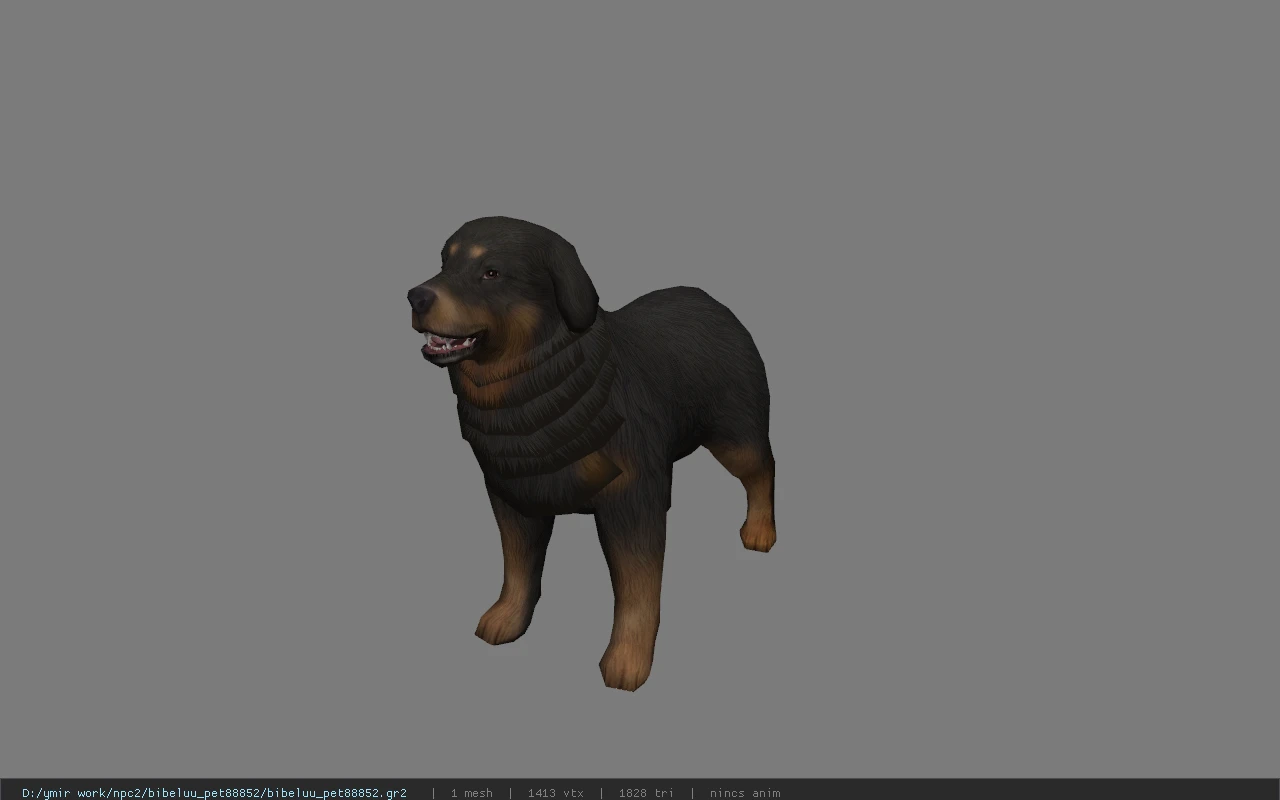 bibeluu_pet88852