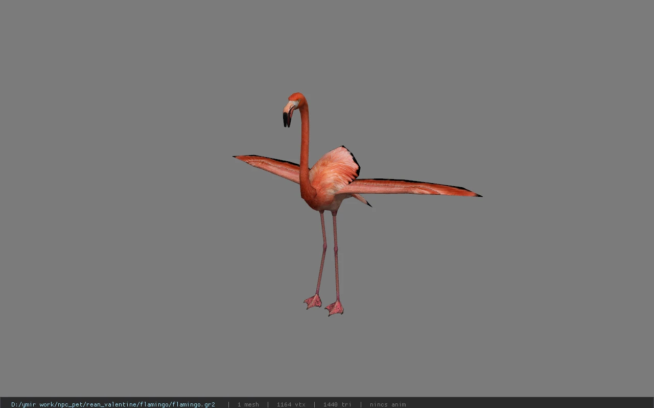 flamingo